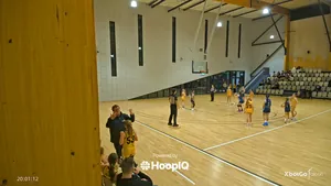 Free-throw